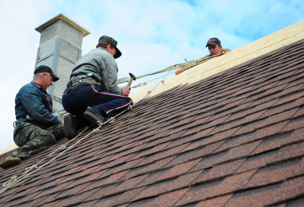 Best Roof Waterproofing Services  in Lipscom, AL
